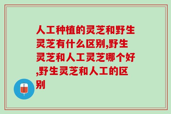 人工种植的灵芝和野生灵芝有什么区别，千年灵芝是否真的存在？