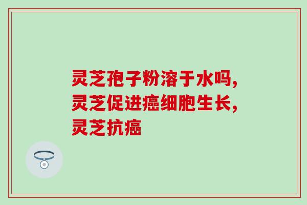 灵芝孢子粉溶于水吗？我们来看下结果到底是怎样的