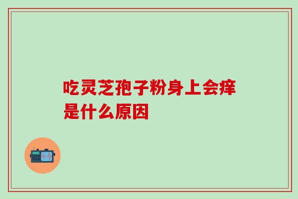吃孢子粉身上起红疹是为什么？