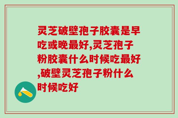 灵芝破壁孢子胶囊是早吃或晚最好？不同时间吃门道很多