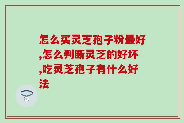 怎么买灵芝孢子粉最好？看完你就明白了！