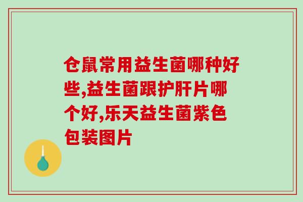 狗人的益生菌有哪些种类(探究狗狗体内益生菌的分类及作用)