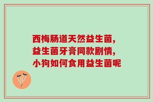 内痔出血能喝益生菌吗(痔出血可否饮用益生菌？)