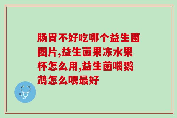 猫咪吃的益生菌平替(益生菌平：猫咪健康的选择