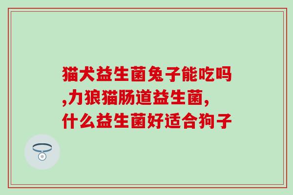 猫的肠胃益生菌怎么吃好(如何正确喂养猫咪的肠胃益生菌？)