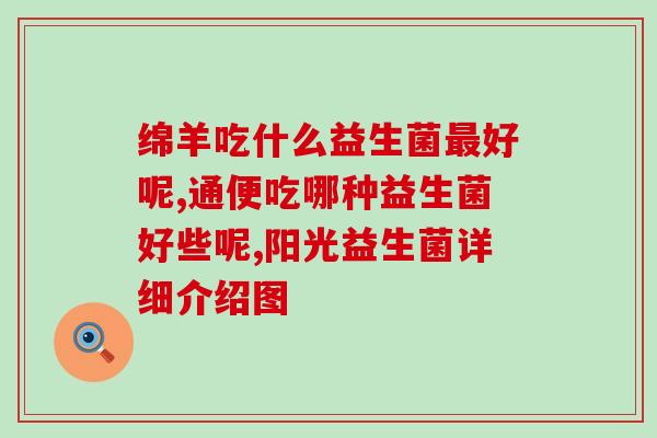 猫咪怎么样喂益生菌好(喂益生菌的正确方法，让你的猫咪健康快乐)
