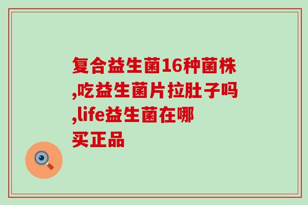 猫猫宠物益生菌AB功效(强化宠物肠道健康，猫猫益生菌AB助力宠物消化良好)