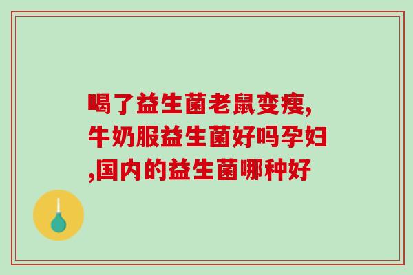 伊利中老年益生菌粉(伊利益生菌粉专注于中老年人健康)