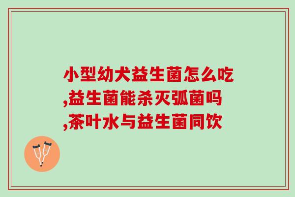 猫益生菌早上吃还是晚上吃(什么时间吃更好：猫益生菌早上还是晚上？)