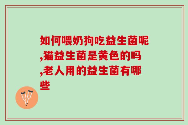 猫咪内驱完可以吃益生菌(宠物猫内驱虫后是否可以食用益生菌？