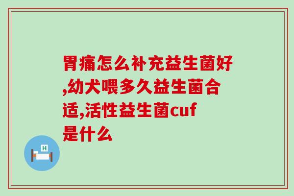 猫益生菌是啥菌类的药品(猫益生菌介绍及作用)