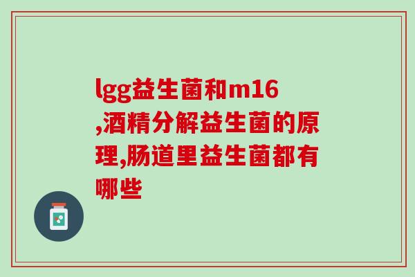 猫粮换益生菌怎么换(从猫粮到益生菌，宠物的健康生活所需换购攻略)