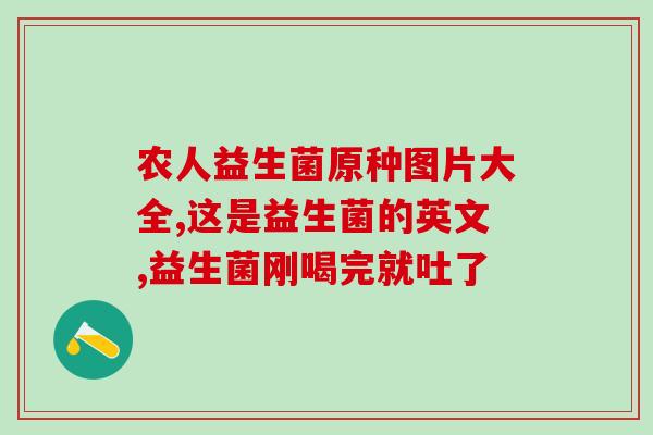 进口益生菌怎么卖钱的啊(如何在市场中销售进口益生菌？)
