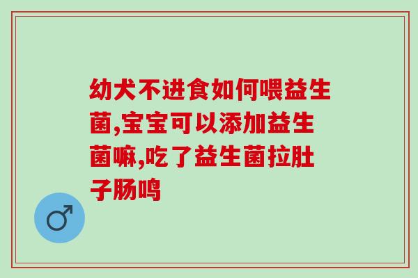 狗狗益生菌酸奶棒怎么吃(狗狗饲主必看：如何正确喂食益生菌酸奶棒？)