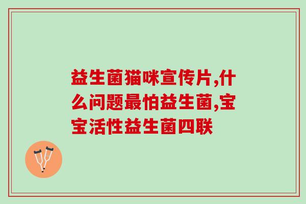 猫咪喂活性益生菌比黄金贵(猫咪养生首选：喂活性益生菌胜过黄金)