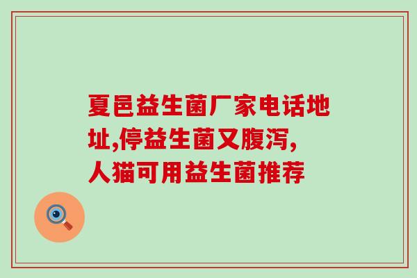 泰迪怎么喂益生菌最好(如何科学喂养泰迪犬的益生菌？)