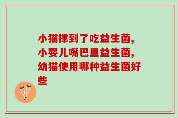 猫软便拉稀可以吃益生菌(猫咪拉稀怎么办？益生菌可以是解决方法！)