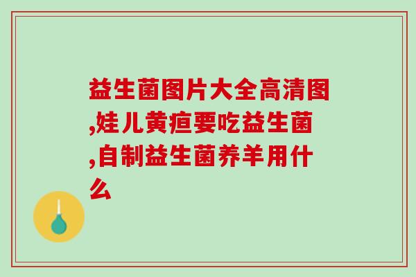 平价猫狗通用益生菌平替(益生菌平替，适用于猫狗，价格亲民)
