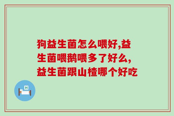 晟明花园复合益生菌固体饮料(晟明花园推出复合益生菌固体饮料，助您健康生活)