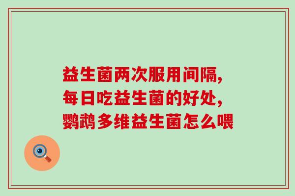 鹦鹉幼鸟吃的益生菌(提高幼鹦鹉免疫力，益生菌供应有助于健康成长)