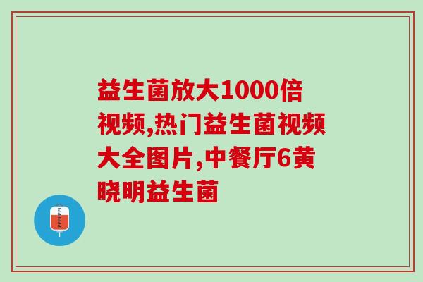 泰迪肠胃不好吃哪种益生菌(改善泰迪肠胃不良食用的有效益生菌推荐)