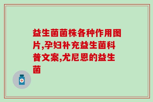 思朗益生菌食膳饼(思朗益生菌食膳饼：健康营养的轻松享受)