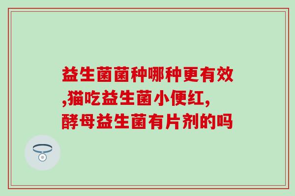熊健婴幼儿益生菌测评(熊健婴幼儿益生菌产品评测结果)