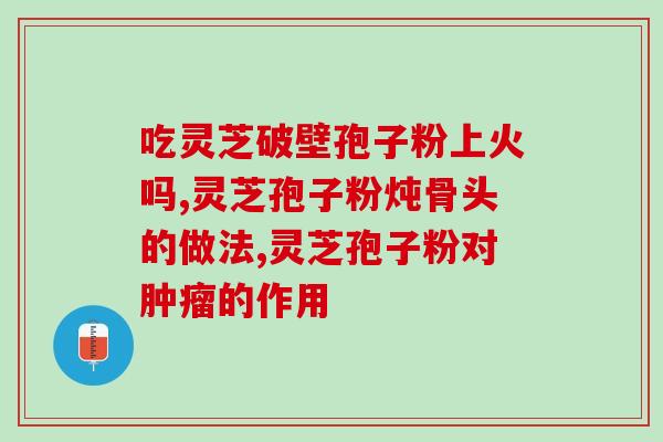 桑黄灵芝孢子粉泡怎么煮？享受灵芝的美味泡法？