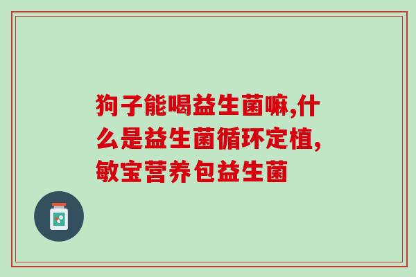 小狗调养用什么益生菌好(选择最优益生菌，助宠物健康)