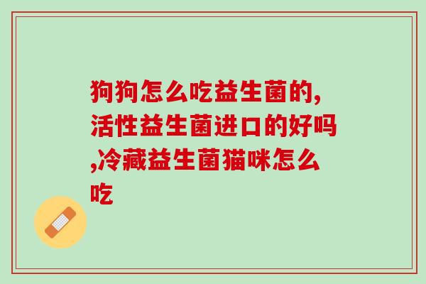 小奶猫吃哪个益生菌(小奶猫最适合食用哪种益生菌？)