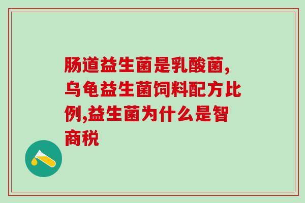消化慢怎么吃益生菌好呢(如何正确服用益生菌加速消化？)