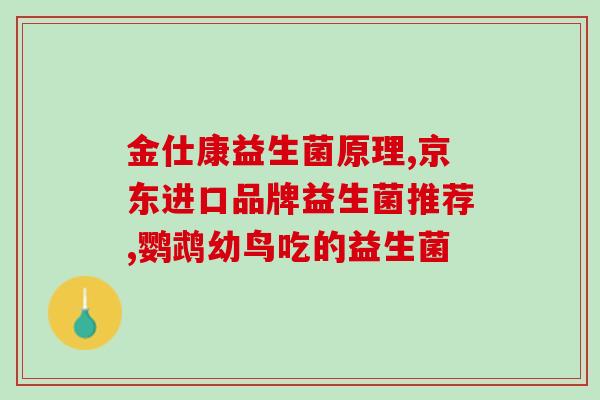 早上喝益生菌蛋白粉好吗(早晨饮用益生菌蛋白粉是否有益健康？)
