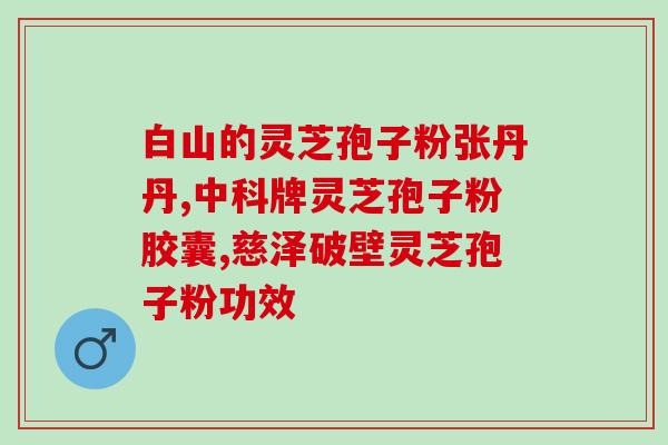 灵芝孢子粉与三七功效？探究灵芝孢子粉与三七的健康功效？