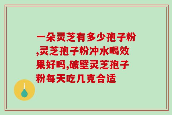 威海金奥力灵芝孢子粉作用？探究灵芝孢子粉的功效与作用？