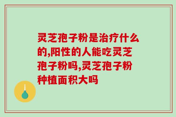 灵芝孢子粉为什么越吃越胖？探究灵芝孢子粉的功效与副作用？