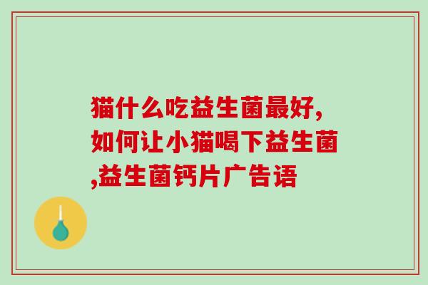 益生菌喂多少给猫咪喝(猫咪的益生菌饮品饮用指南)