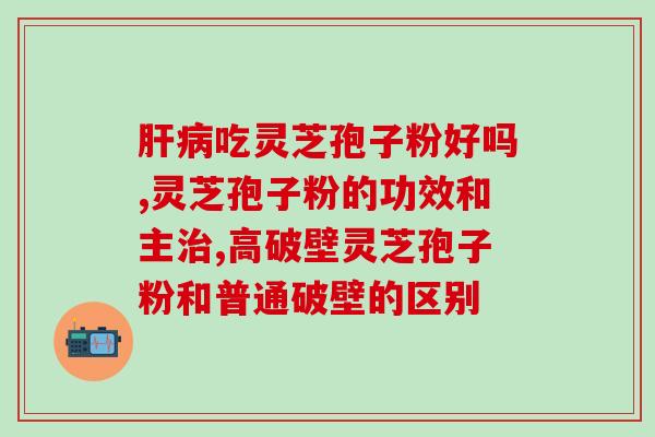 灵芝孢子粉的含量最高多少？探究灵芝孢子粉的最高含量？