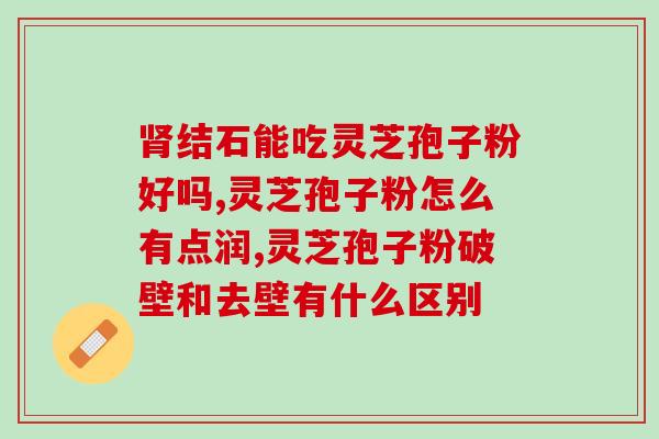 灵芝孢子粉烘干机设备报价？灵芝干燥处理设备价格咨询？