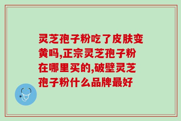 灵芝孢子粉蛋炒饭的做法？健康美味的早餐推荐？