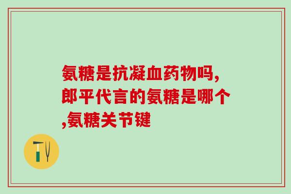 ny03氨糖(NY03氨糖：新一代抗关节炎药物)