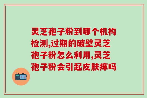 灵芝孢子粉药房有售(灵芝孢子粉现已在药房有售)