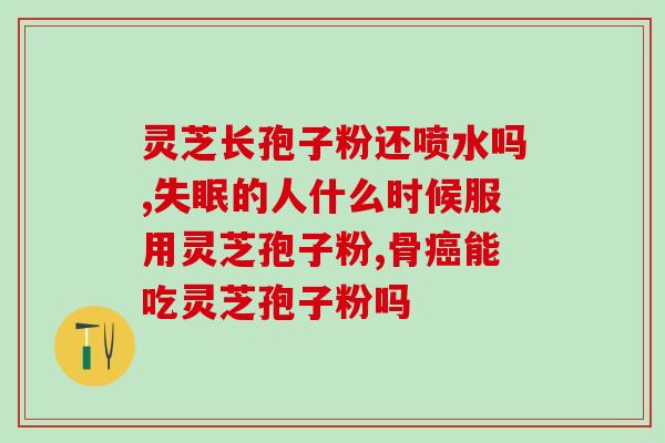 灵芝孢子粉英语怎么说？英文翻译：Ganoderma Spore Powder？