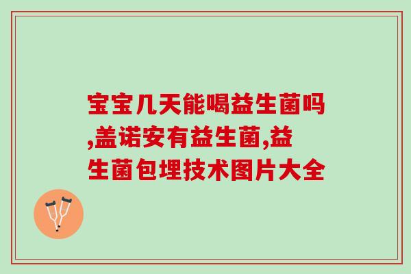 益生菌饼干嗨果帮青梅(益生菌青梅饼干“嗨果”：宣扬健康美味新时尚)