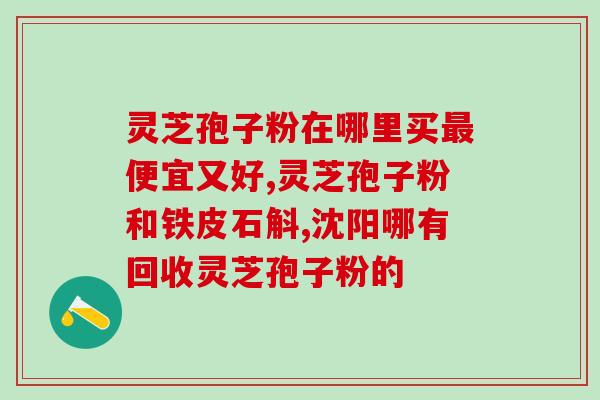 灵芝孢子粉搭配什么煲汤？营养丰富的灵芝汤配方？