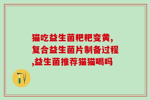真滋元之益生菌固体饮料(真滋元益生菌固体饮料：强化肠道健康)