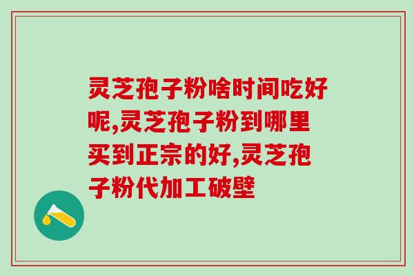 川大研究灵芝破壁孢子粉的功效与应用？深度解析灵芝破壁孢子粉的营养价值和使用方法？
