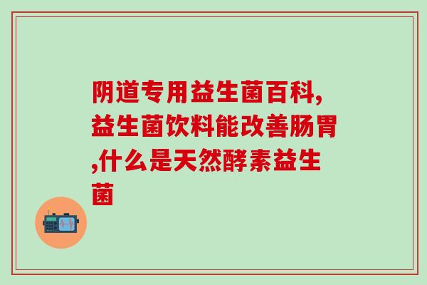 益生菌风味发酵乳臭臭的益生菌酸奶增味，臭味成为特色)