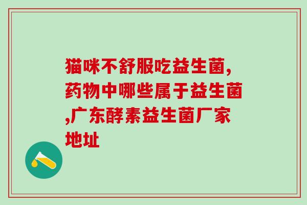 有益生菌的氨基酸奶粉(有益生菌氨基酸奶粉：帮助促进肠道健康的营养补给)