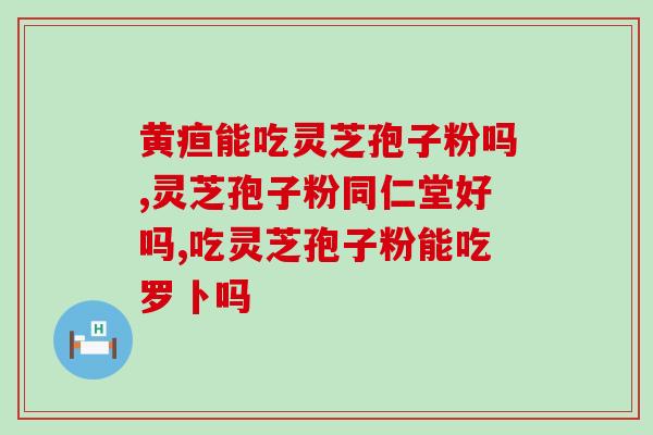 灵芝孢子粉瓶装多少钱一斤？价格对比及购买建议？