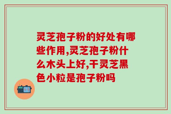 灵芝孢子粉礼盒最新包装？精美包装，健康养生好礼？